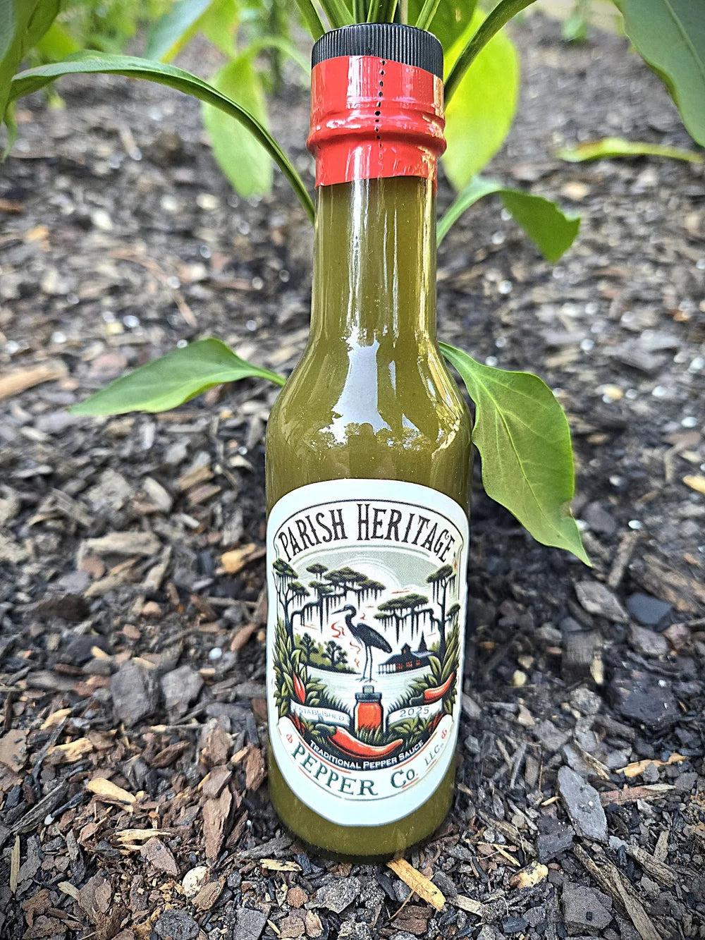 NolaCajun Parish Heritage Jalapeno Pepper Sauce Louisiana Cajun Jalapeno Sauce