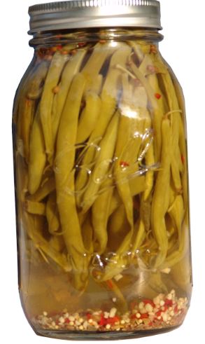 NolaCajun Stuarts Cajun Dill Beans 28oz Package Louisiana Cajun Pickled Beans New Orleans